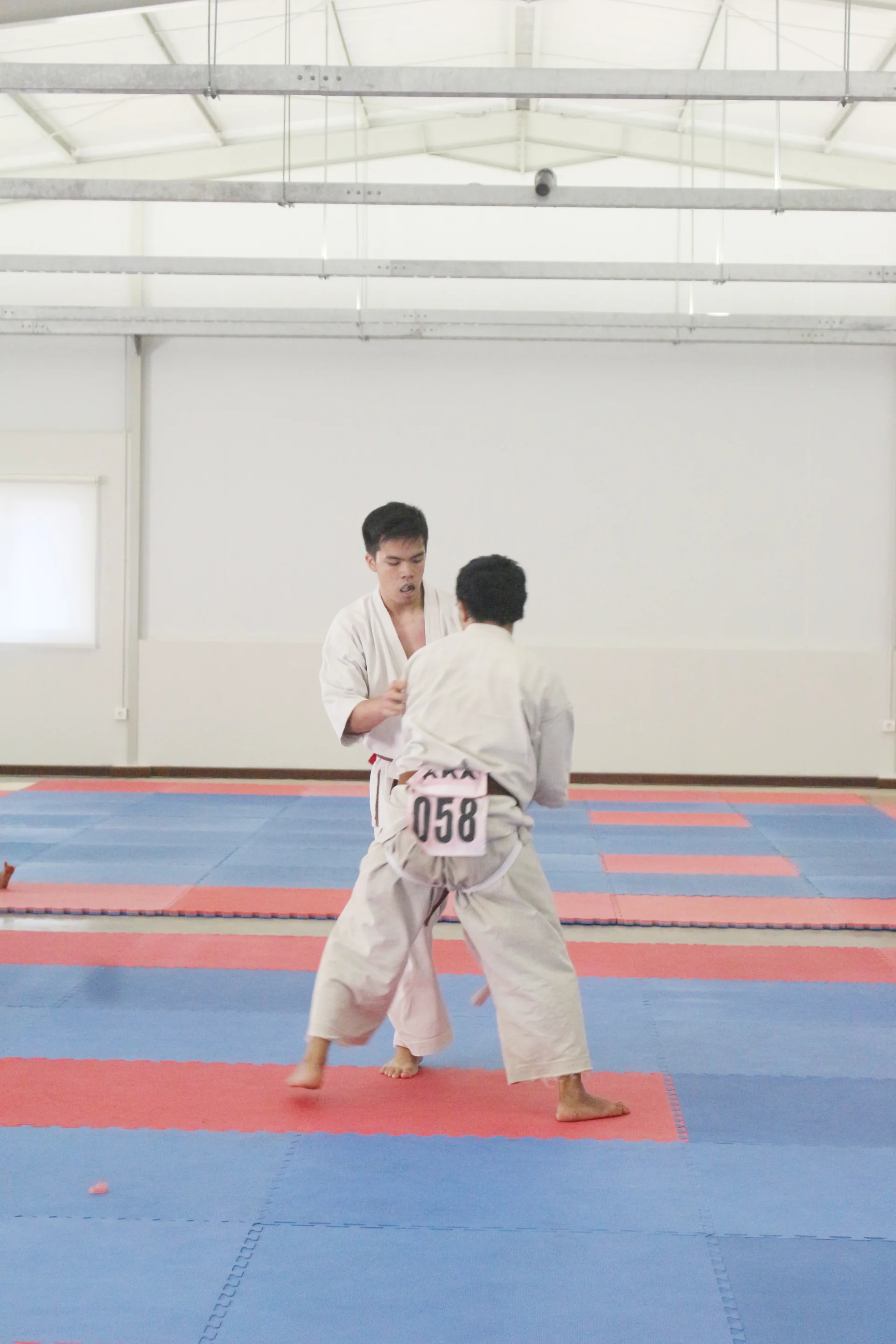 Taekwondo